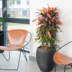 Ø.41 eller Ø.57cm vandtæt sandgrå eller sort krukke med riller