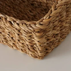 3 små søgræskurve med stof og holder