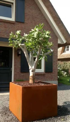 Adezz / Firkantede eksklusive rust krukker - plantekummer / Med Bund