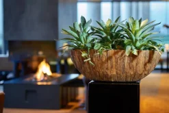 Aflang krukke / Gondol i træ / Cemani