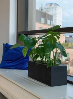 Aflang matsort eller matgrå plantekasse til vinduer - L.40 + L.50 + L.60cm