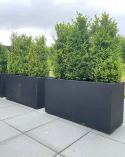 Aflange plantekummer høje / Sort + Grå - Udendørs