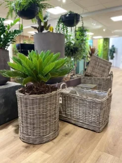 Aflange rattan krukker med hjul - L.60cm + L.70cm