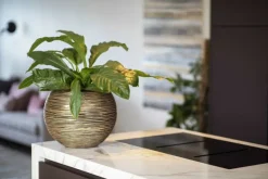 Ball Rib Gold - rund indendørs vandtæt krukke med ribber Ø.40 - Livstidsgaranti