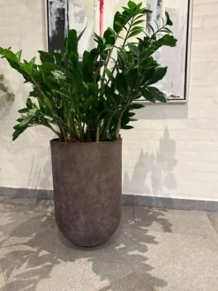 Brun antik krukke i Limestone look