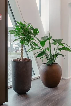 Brun antik krukke i Limestone look