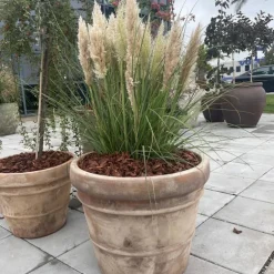 Croda Rossa Terracotta Krukke Ø.29 + Ø.38 + Ø.50 / SÆT 3 stk