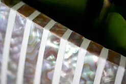 Eksklusive krukker med perlemor - 4 modeller - Hvid serie