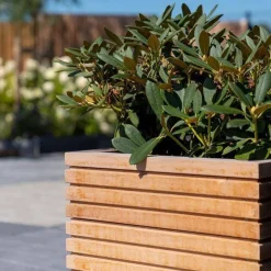 Firkantede krukker i hardwood / Rhombus