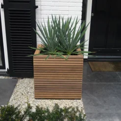 Firkantede krukker i hardwood / Rhombus