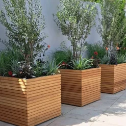 Firkantede krukker i hardwood / Rhombus