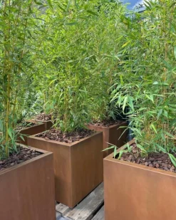 Firkantede kubiske rust krukker i cortenstål / 4 str