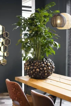 Globo plantepotter i antik guld - Ø.55cm