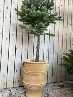 Græsk krukke i Terracotta med ører - H.50cm + H.60cm