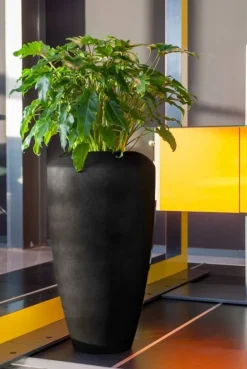 Høj 90cm sort mat vandtæt krukke i Fiberstone med let struktur