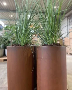 Høj cylinder krukke i corten stål rust - H.60cm + H.80cm