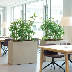 Høje aflange indendørs plantekummer - sort eller sand - VANDTÆTTE - 2 størrelser.