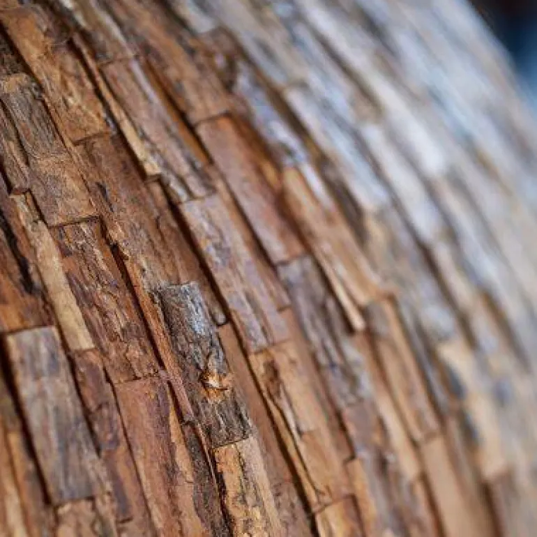 Høje Krukker i Træ / Cemani