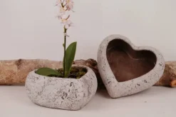 Hjerteskål / potte I cement