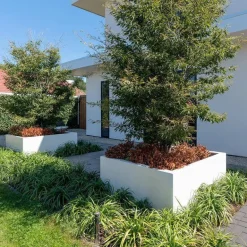 Kæmpe firkantede Plantekrukker i glasfiber H.60cm - Op til 200x200cm