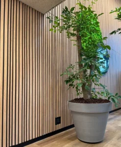 Kæmpe krukker i genbrugs plastmateriale med hjul - sort / grå - Ø.80 + Ø.100