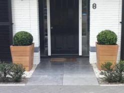 Konisk krukke i hardwood