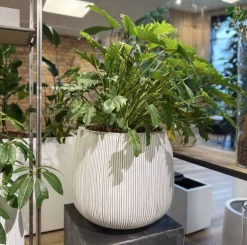 Krukke i Fiberstone med lodrette riller - 2 str - hvid antik eller Grå