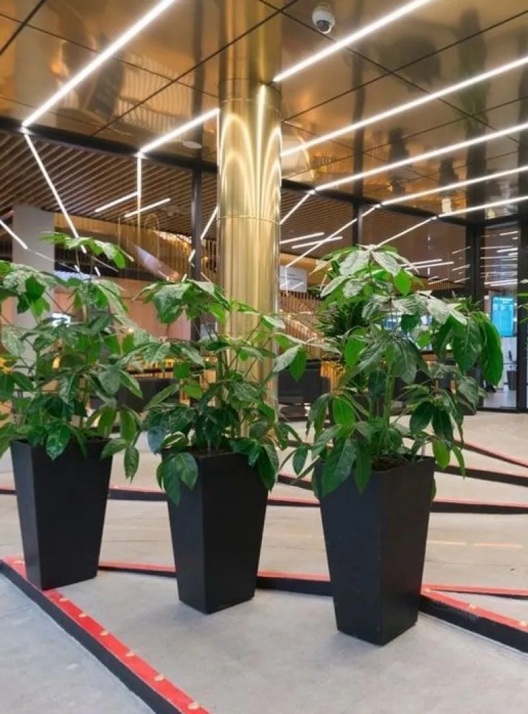 Krukker i gummi / recycled - Rund eller Firkantet - H.51cm