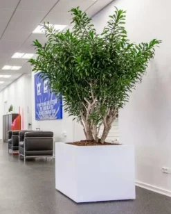 Kubiske krukker i højglans med hjul / sort+hvid - Ø.40+50+60+85cm