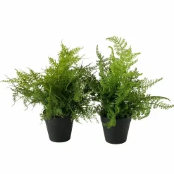 Kunstige bregner med potte - Sæt 2stk forskellige