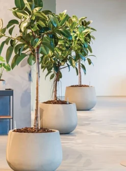 Lav sand / beige krukke H.40xØ.56cm - M/U Hjulsæt