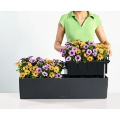 Lechuza Altankasse COLOR - hvid + antrazit