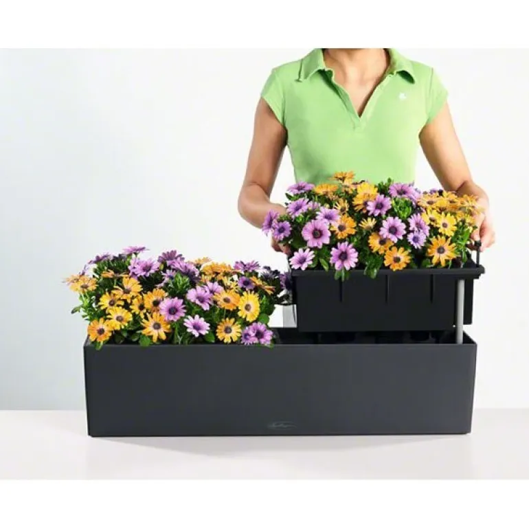 Lechuza Altankasse COLOR - hvid + antrazit