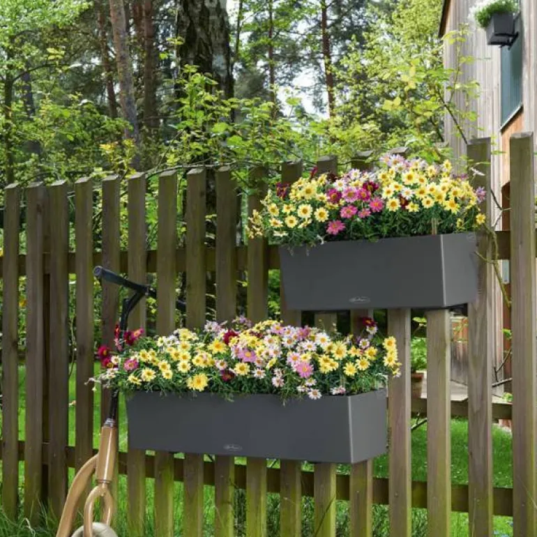 Lechuza Altankasse COLOR - hvid + antrazit