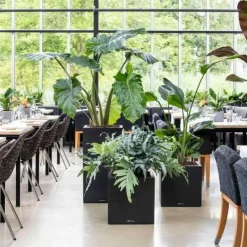 Lechuza Canto Stone Struktur Høj - 56cm + 76cm - 4 Farver