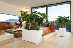 Lechuza Cararo plantekumme - 6 farver - hjul og selvvanding