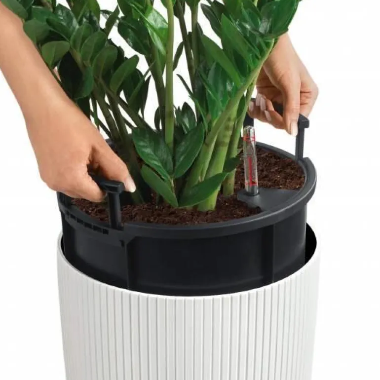 Lechuza Cilindro Color - krukker med selvvanding - 56cm - 3 farver