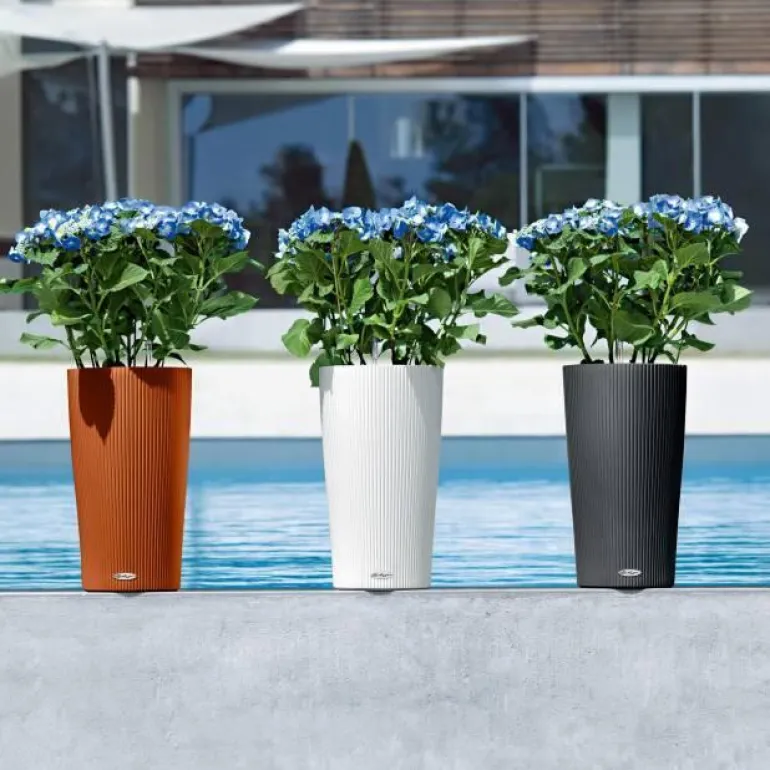 Lechuza Cilindro Color - krukker med selvvanding - 56cm - 3 farver