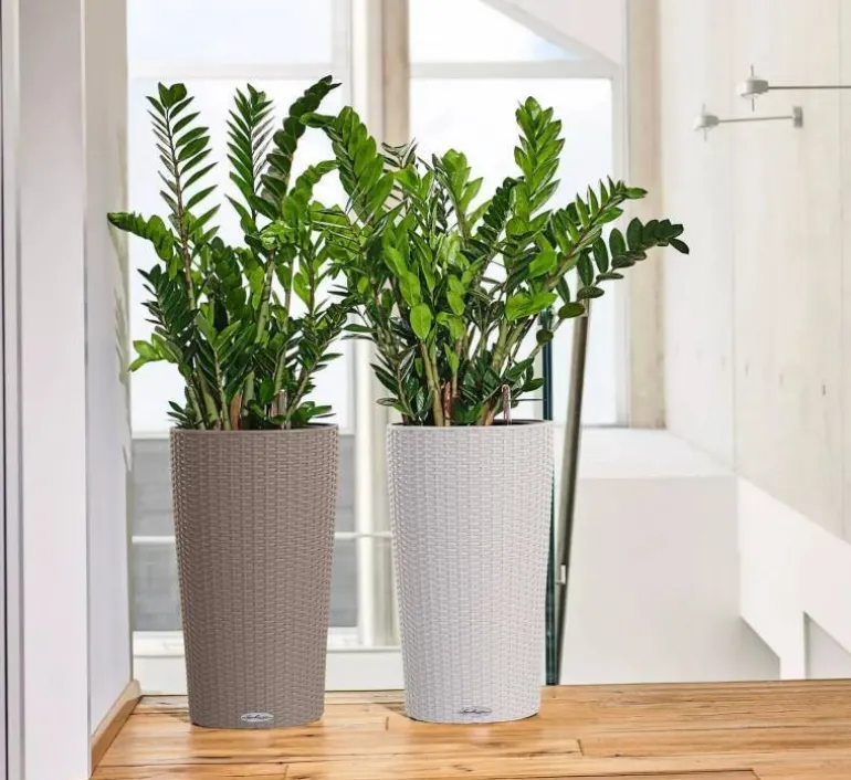 Lechuza Cilindro Cottage / Polyrattan - Selvvanding - 6 farver - 56cm