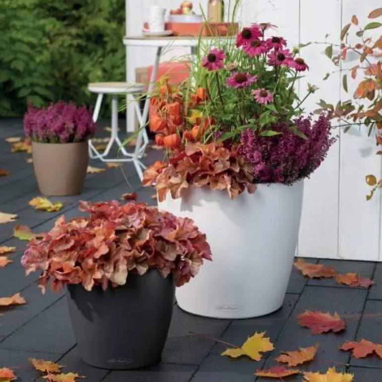 Lechuza Classico COLOR - Selvvanding - Ø.43 - M/U Hjul