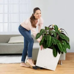 Lechuza Cube Cottage / Polyrattan - grafit-antrazit-sand-lysegrå - 40x40cm+50x50cm