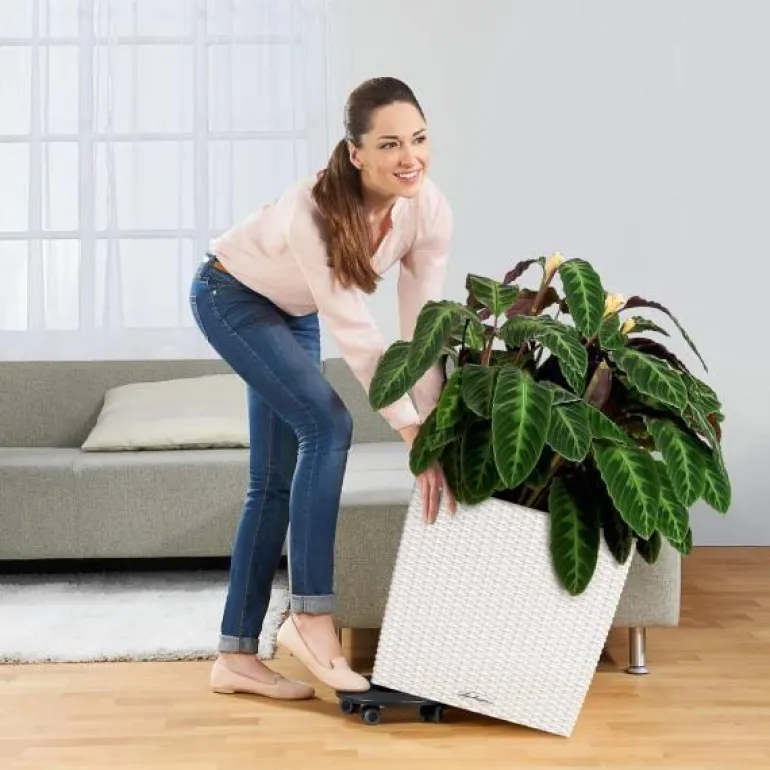 Lechuza Cube Cottage / Polyrattan - grafit-antrazit-sand-lysegrå - 40x40cm+50x50cm