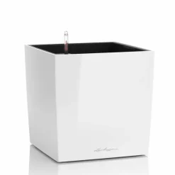 Lechuza Cube Premium med selvvanding - 30cm + 40cm + 50cm - 6 farver - M/U Hjul