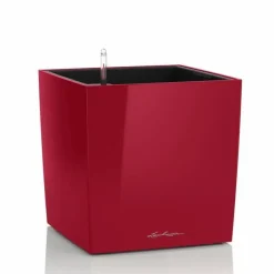 Lechuza Cube Premium med selvvanding - 30cm + 40cm + 50cm - 6 farver - M/U Hjul