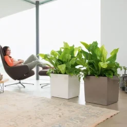 Lechuza Cube Premium med selvvanding - 30cm + 40cm + 50cm - 6 farver - M/U Hjul