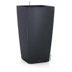 Lechuza Cubico COLOR / Selvvanding - 4 farver