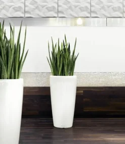 Lechuza Rondo premium krukke H.56 + H.75 - 5 farver / Selvvanding