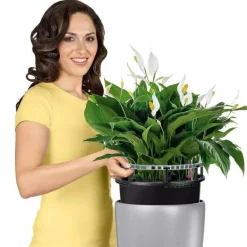 Lechuza Rondo premium krukke H.56 + H.75 - 5 farver / Selvvanding