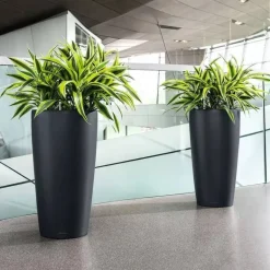 Lechuza Rondo premium med selvvanding - sort mat + hvid mat + grå mat - H.56 + H.75