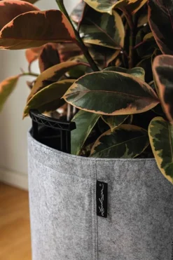 Lechuza Trendcover - Krukker med filt - selvvanding - Ø.23+Ø.32